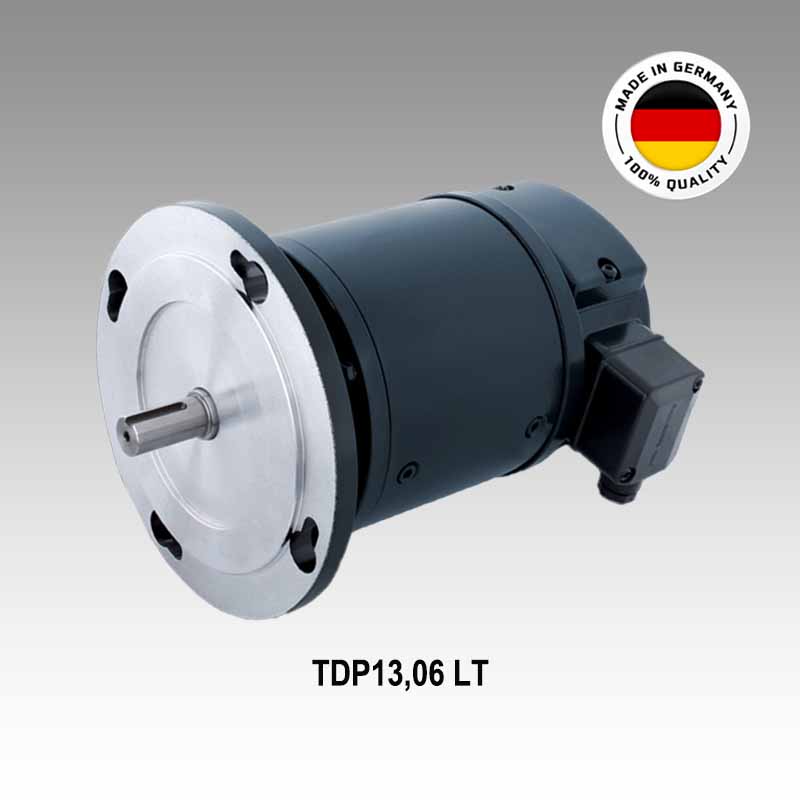 TDP13,06LT-6 - 11055548